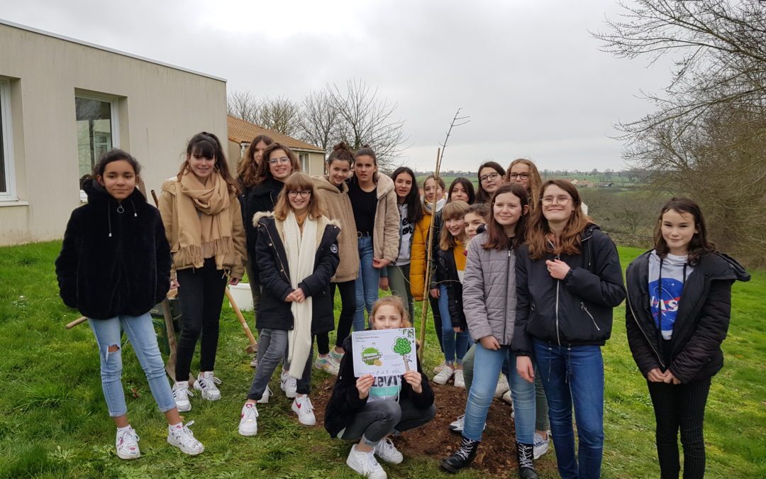 Développement durable: plantation d’un chêne au collège!